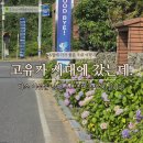 스포츠파크 | 고유가 시대에 갔는데...다소 아쉬운 남해 스포츠파크 수국 후기