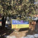 파주 쇠꼴마을 눈썰매장 할인 꿀팁 및 리얼 후기!