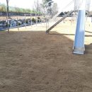 대구금계초등학교 이미지