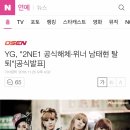 YG, "2NE1 공식해체·위너 남태현 탈퇴"[공식발표] 이미지