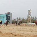 본해피 이미지