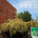 동방횟집 | 진해 맛집 동방횟집 방문 후기