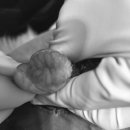 백두 동물병원 이미지