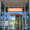 돌담 | 🌿 감자네 식당 탐방 | 화성 안녕동 '돌담보리밥' 내돈내산 후기