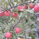 부림3길 이미지