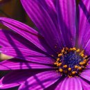 꿈나래지역아동센터 이미지