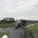 와이프허즈번드
