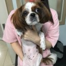 민병철동물병원 이미지