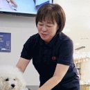 VIP동물한방재활의학센터by.Dr.신사경 이미지