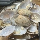 고원식당 | [진안_순두부집] 아침 식사 가능한 가성비 끝판왕 마이산 고원식당 맛집 내돈내산 추천 후기