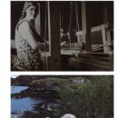 천은농장 이미지