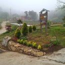 느티나무집민박 이미지