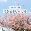 힐링월드 뷰 | 경주 보문단지 산책 봄꽃부터 경주월드 뷰까지 한 번에 즐기는 힐링 코스