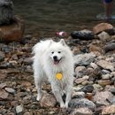 화담펜션 이미지