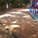 장성초등학교 병설유치원 이미지