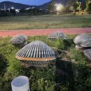 벌교숲공원 이미지