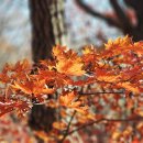 두만2리마을회관 이미지