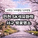(주)제이더스화학 | 인천 서구 SK 석유화학 벚꽃동산 오픈일, 주차정보, 근처맛집
