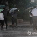 언덕위에 이쁜집 이미지