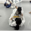 용인대 전주유도관 이미지