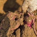 승안동마을 이미지