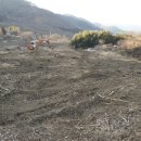 금주농장 이미지