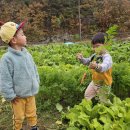 창의인성반 김로하, 미소천사반 김동하 주말이야기 이미지