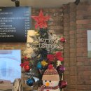 화생약국 | 4학년 2학기 후기