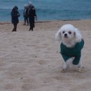 떡뜨래 이미지