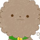 살롱 드 따따 이미지