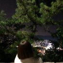 백여사포차 | 2025와 1/4