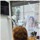 수원-1642 이미지