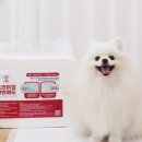 제이엠코