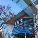 태산만두 | 포항 만두전골 맛집/태산전골 내돈내산후기