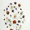 사림로99번길 이미지