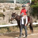 수락초등학교 이미지