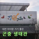한밭수목원 | 대전 아이랑 가기좋은 한밭수목원 곤충 생태관 방문후기, 주차&amp;휴관 정보 (벌레주의!)