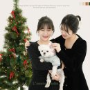 반려동물과 함께 사진 찍을 수 있는 검암동 사진관 인천 라네스튜디오오