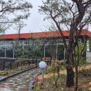 고흥골프장 | 고흥 우림원, 왜 다른 정원과 다를까? 소나무가 특별한 진짜 이유