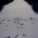보네일 Daum카페