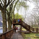 나무테크 이미지