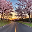 애월애 민박 이미지