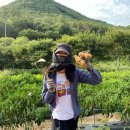 회원농장 | [텃밭 일기]영등포구 문래동 도시텃밭, 주말농장 신청 후기(신청 방법, 기간, 가격, 위치)