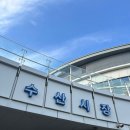 봄이락 | 가락시장 쭈꾸미 남원씨푸드 봄도다리모듬회 후기