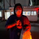 루시캣 | 고양이 분양 후기, 고양이 가정분양 전문 루시캣