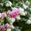 삼산교통공원 이미지