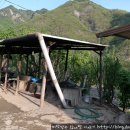 장군의집 민박 이미지