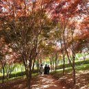 새터목장 이미지