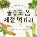 3월 봄나물 봄김치 | 울릉도 3월, 봄 제철 먹거리 | 고로쇠 수액 &amp; 향긋한 봄나물 총정리! 🌿🌸
