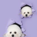 순간을남기다 네이버블로그